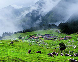 Chopta Valley