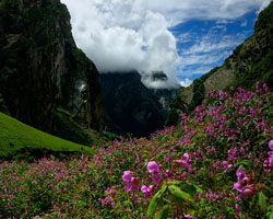 Lachung